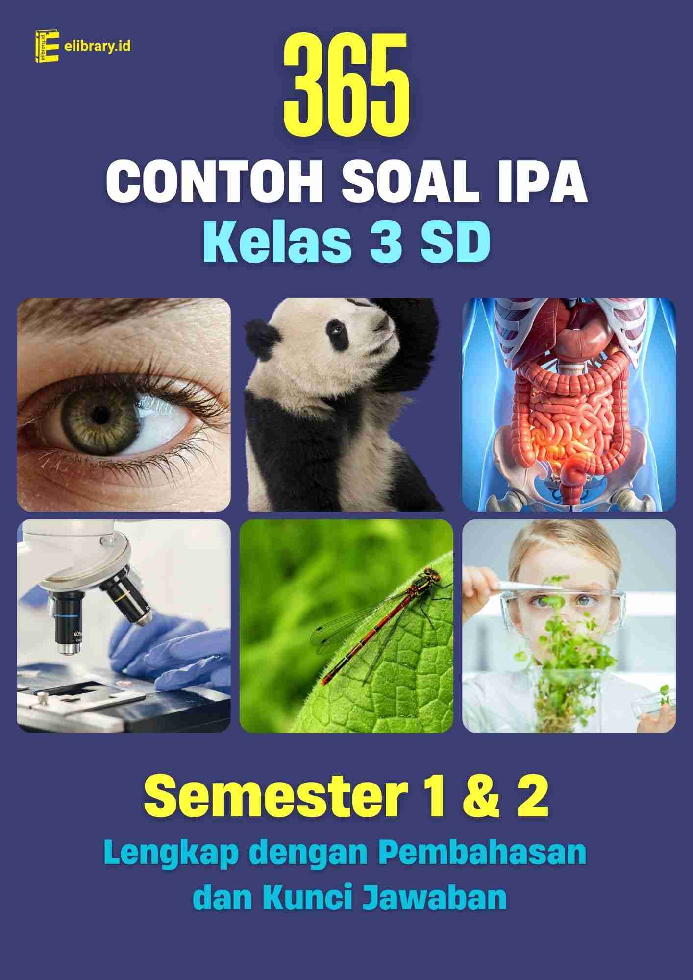 30 Soal PAI Kelas 1 SD Tema Aku Anak Muslim Lengkap dengan Kunci