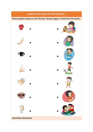MODUL AJAR KELAS satu 1 PANCA INDERA pdf MODUL AJAR KELAS satu 1 PANCA INDERA pdf