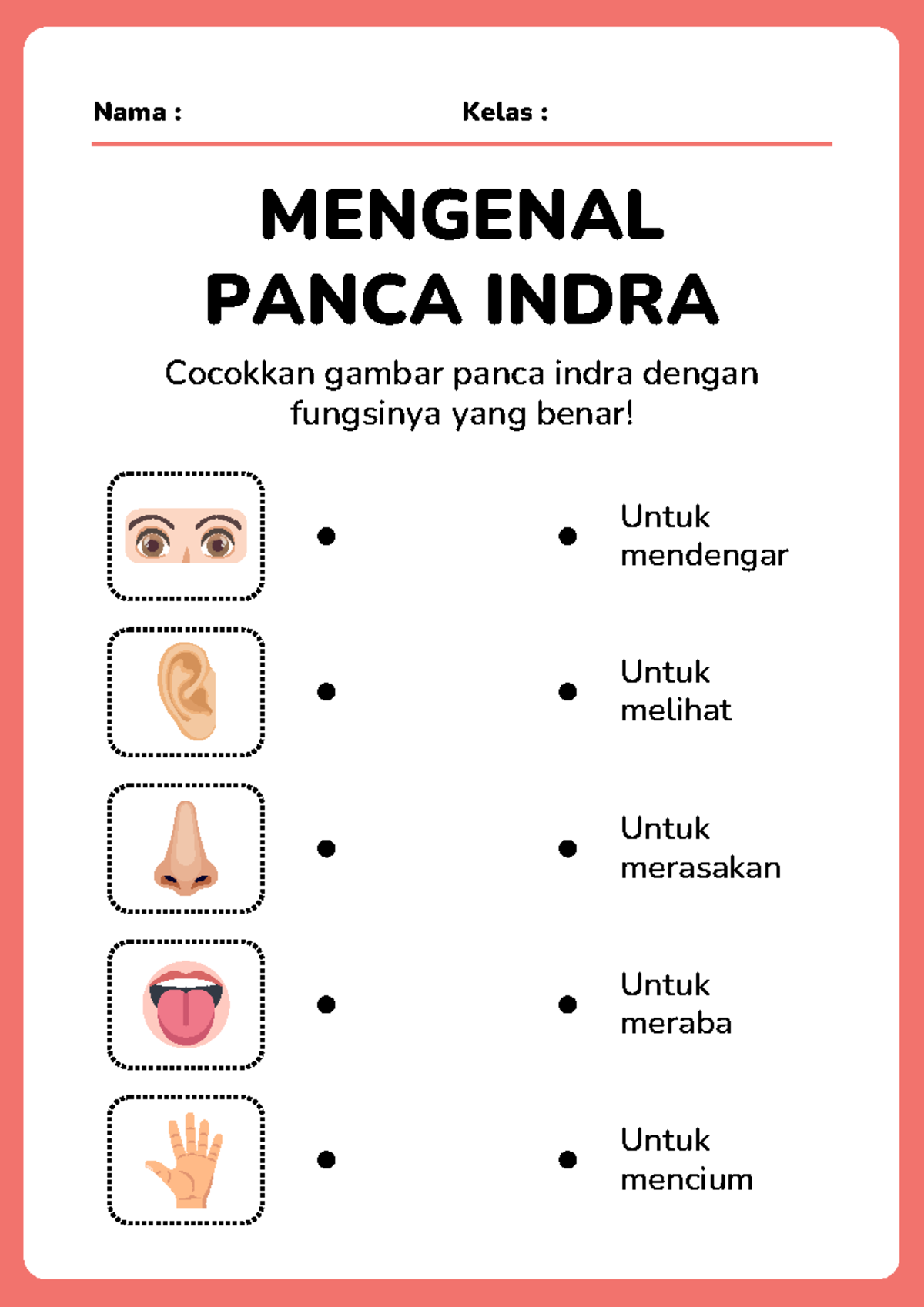 Wajib Tahu 7 Contoh Soal Panca Indera Disertai Gambar Kelas 1 SD yang Sering Muncul di Ulangan Harian 2026