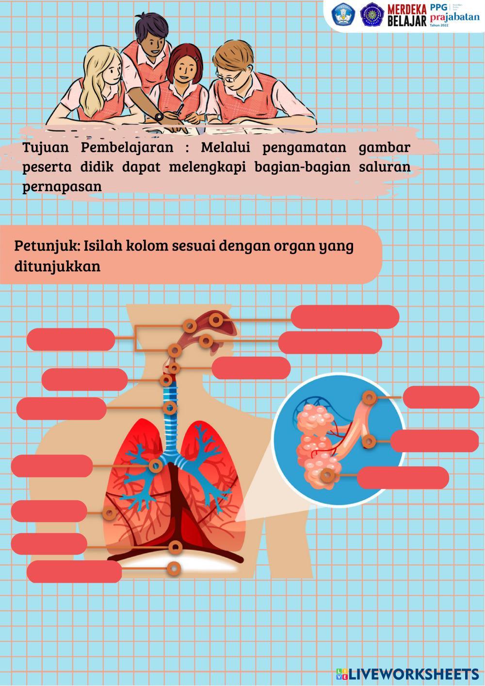 5 Rahasia Jawaban Soal Tema 4 Kelas 5 Udara Bersih Bagi Kesehatan yang Wajib Tahu 5 Rahasia Jawaban Soal Tema 4 Kelas 5 Udara Bersih Bagi Kesehatan yang Wajib Tahu