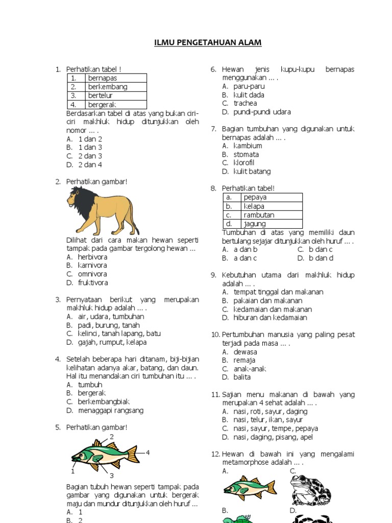 Wajib Tahu! Link Download Soal Mid Semester 1 Kelas 3 IPA Terbaru dan Terlengkap Wajib Tahu! Link Download Soal Mid Semester 1 Kelas 3 IPA Terbaru dan Terlengkap